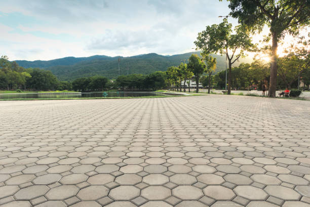 Professional Driveway Pavers in Percy, IL