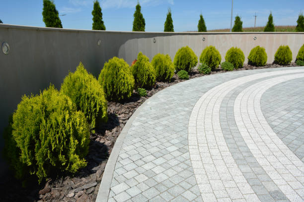 Best Professional Driveway Pavers  in Percy, IL